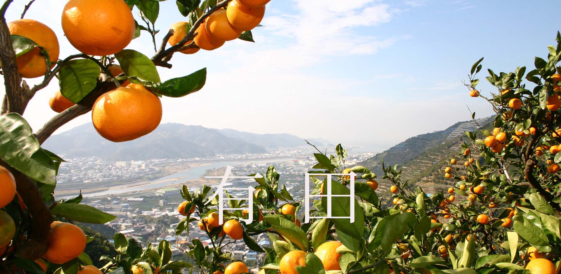 和歌山県有田市JFM開始しました。