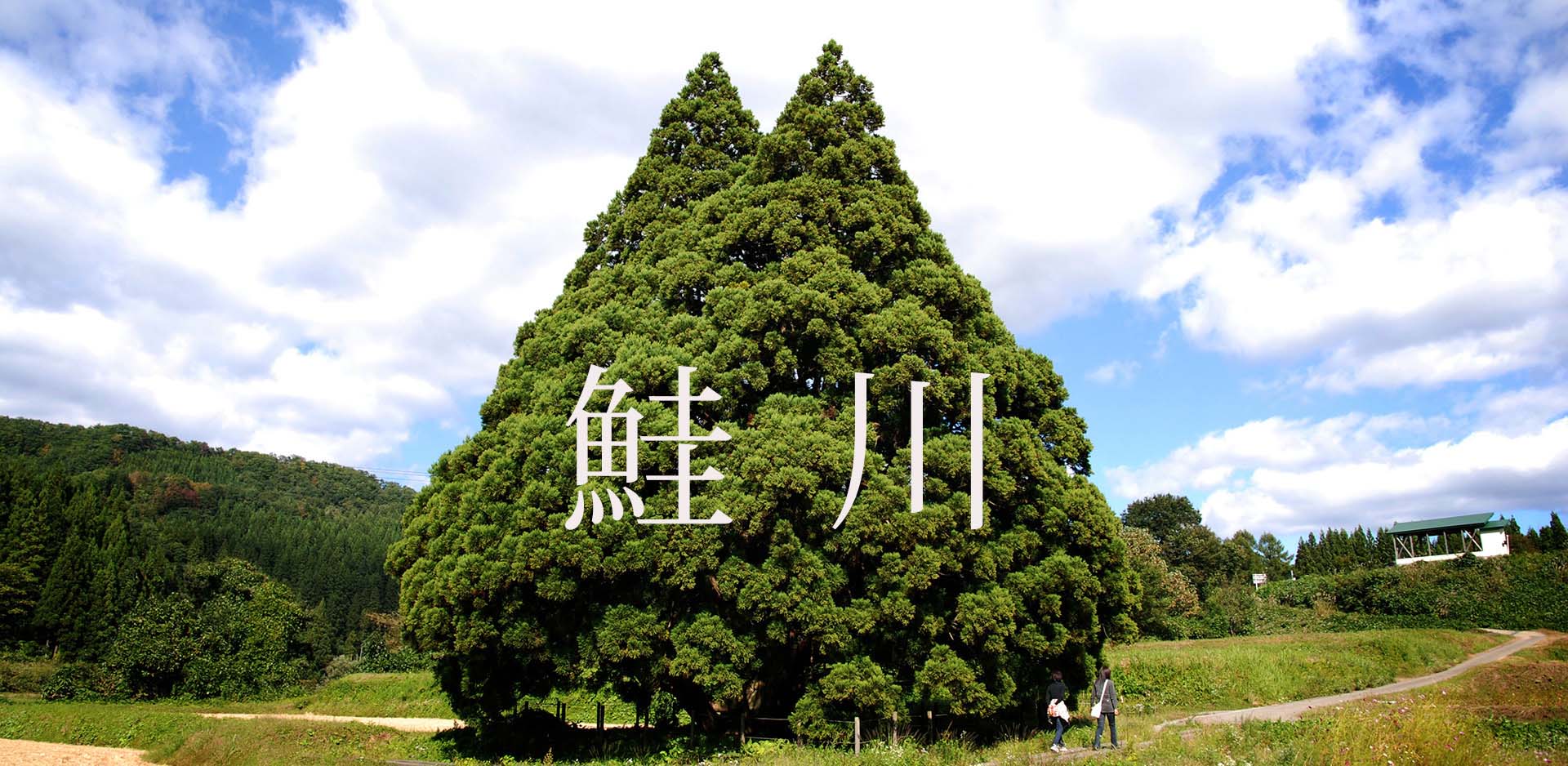 山形県鮭川村JFM開始しました。