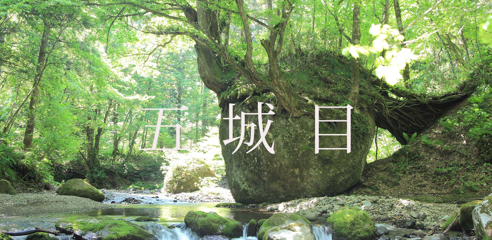 秋田県五城目町JFM開始しました。